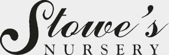 Stowe's