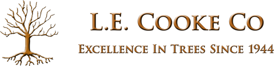 L.E. Cooke