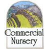 Commercial Nursery Company, Inc.