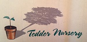 Tedder Nursery