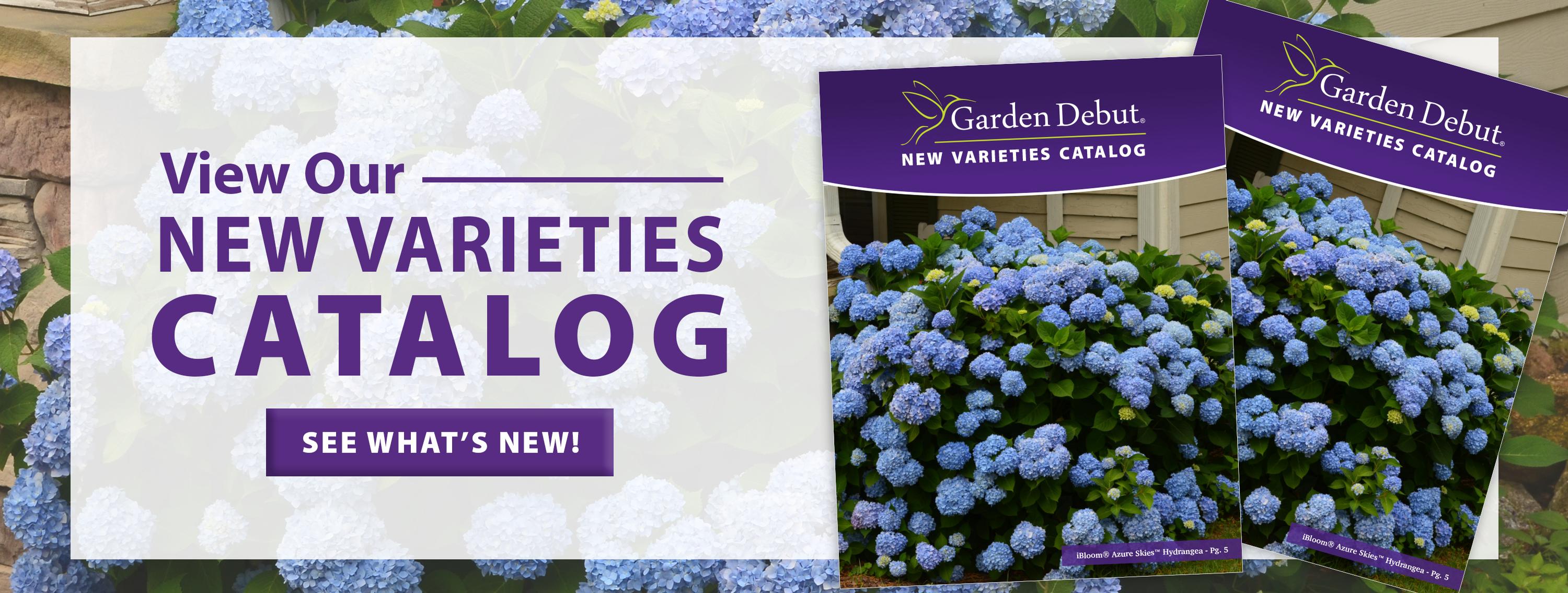Click here to view the 2022 Garden Debut New Varieties Catalog.