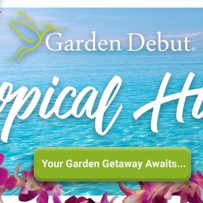 2 - Tropical Hibiscus Collections