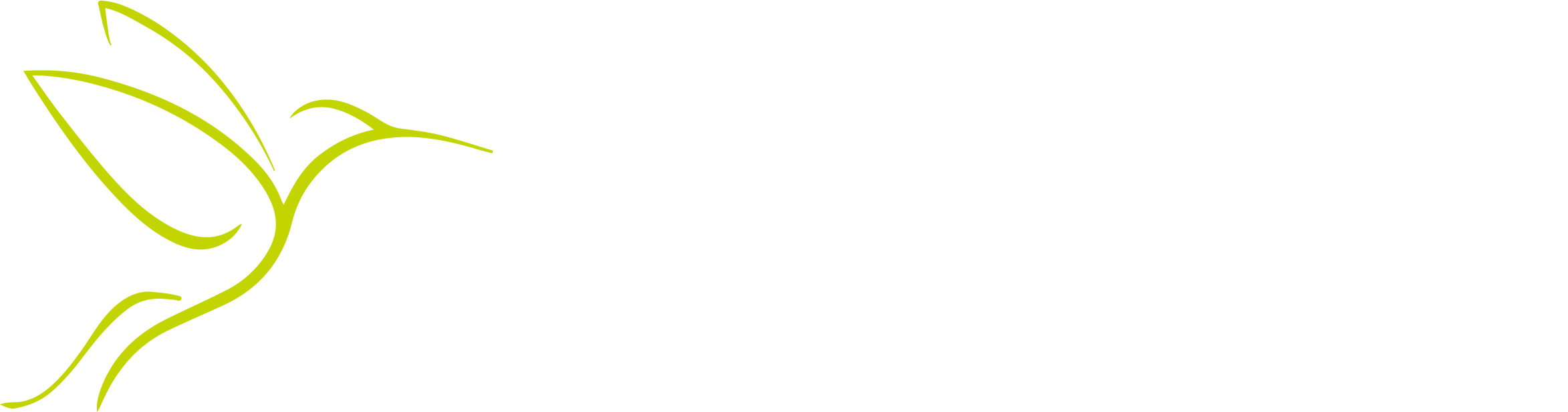 Garden Debut